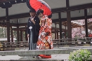 京都和装前撮り１２.jpg